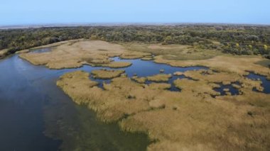 Tisza Gölü 'nün bataklık su manzarası. Doğa koruma alanı. Hava aracı görüntüsü.