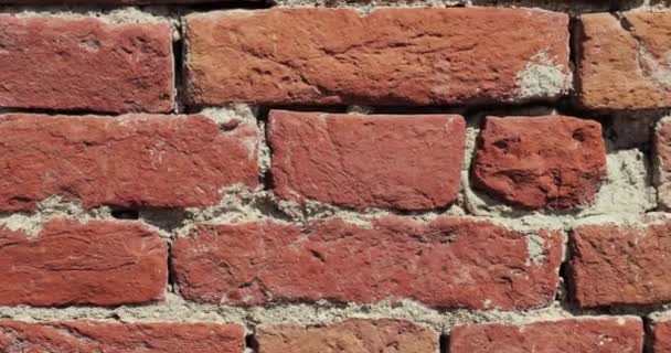 Çıplak Tuğla Duvar Dokusu Eski Eski Tuğlalar Kamerasıyla Yakınlaştırma Döndürme — Stok video