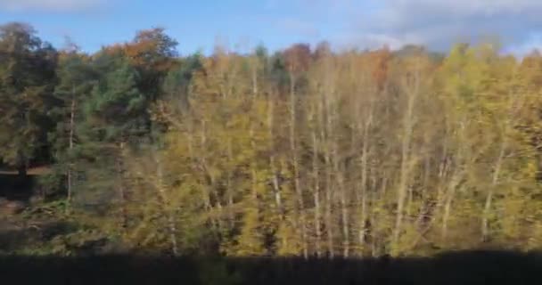 Yavaş Çekim Orman Manzaralı Tren Yolculuğu Sonbahar Ağaçları Renkli Yapraklar — Stok video
