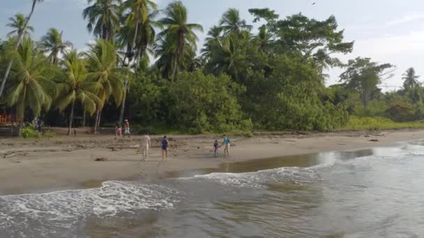 Jovi Nuqui Kolumbia Około 2019 Plaża Oceanu Spokojnego Lasem Deszczowym — Wideo stockowe