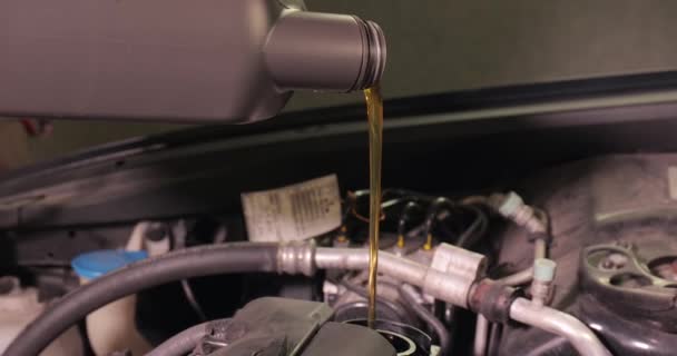 Замена Масла Автомобиле Бензиновым Двигателем Замена Моторного Масла — стоковое видео