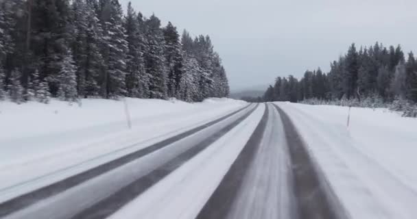 フィンランドのラップランドの雪に覆われた冬の道路 松の木がある北極の風景を運転する — ストック動画