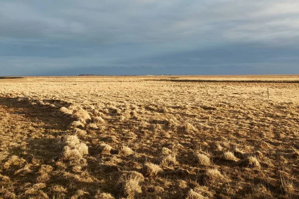 冰岛平原景观 农田沐浴在金色黄昏的阳光下 — 图库照片
