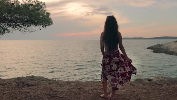 Młoda Kobieta Ciesząca Się Ciepły Letni Wieczór Nad Brzegiem Morza — Wideo stockowe