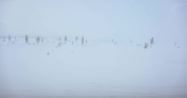 Viaggio Artico Paesaggio Nordico Innevato Passaggio Viaggio Nel Nord — Video Stock
