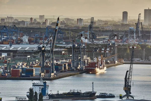 Rotterdam Vinçleri Olan Konteyner Gemisi Terminali Dünya Tedarik Zincirinden Gelen — Stok fotoğraf