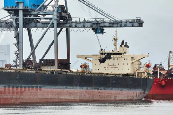 Huge Iron Ore Transporter Ship Rotterdam Port Bulk Terminal Cranes — Stock Photo, Image