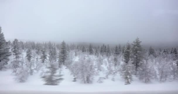 Snowy Nordic Drive Krajobraz Przechodzący Wycieczkę Arktycznej Północy — Wideo stockowe