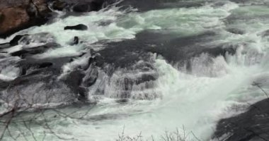 İsviçre, Ren Şelalesi 'nde şelale, Avrupa' nın en yüksek akış oranı, Schaffhausen, 4k 60 fps 'den yavaş çekim.