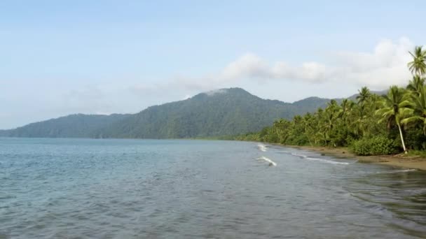 Praia Oceano Pacífico Com Floresta Tropical Choco Colômbia Perto Nuqui — Vídeo de Stock