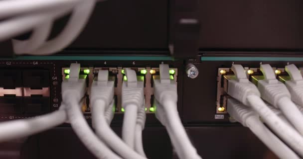 Мережеві Кабелі Підключені Комутатора Єдиній Кімнаті Сервера Даних — стокове відео