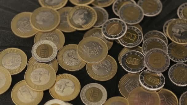 Münzen Auf Einem Metalltablett Ungarische Forint Währung Zeitlupe 120 Fps — Stockvideo