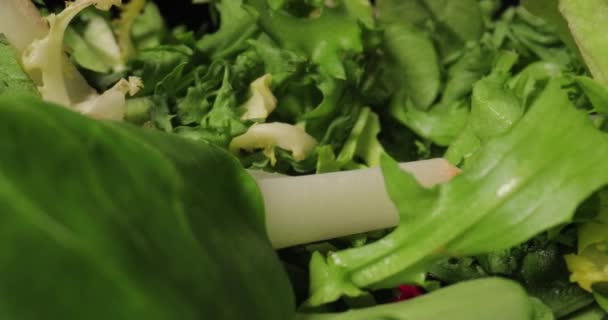 Taze Yeşil Salata Makro Kaplama Kamera Hareketleriyle Sonda Mercekli Koyu — Stok video