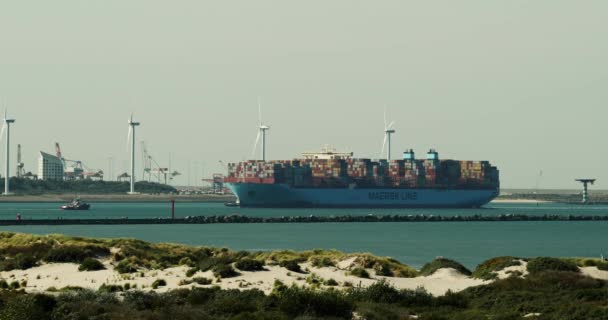 オランダのロッテルダム Circa 2019 ロッテルダム港に到着したMaersk Triple E級コンテナ船 強い熱霞のある距離で見る大気の歪み — ストック動画