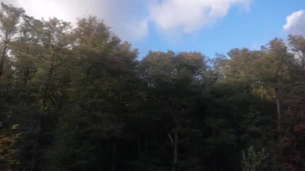 Τρένο Ταξίδι Αργή Κίνηση Θέα Στο Δάσος Προς Την Πλευρά — Αρχείο Βίντεο