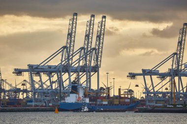 Bir konteyner nakliye terminalinin vinçleri