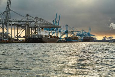 Cranes of a container shipping terminal in the port of Rotterdam