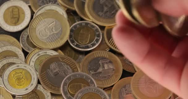 Coins Pile Hungarian Forints Hand Raking Taking Some — ストック動画