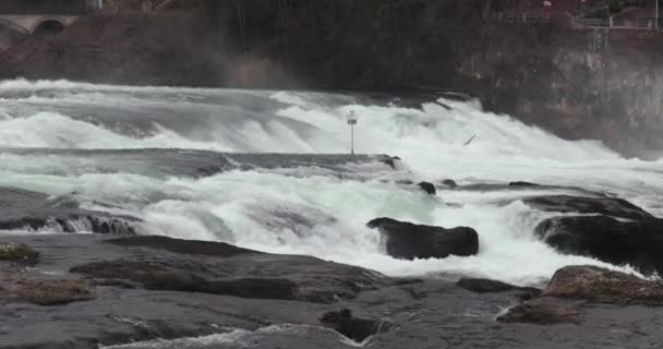 Rhine Falls Waterfall Switzerland Water Rushing Rocks — ストック動画