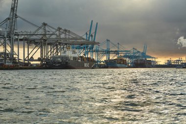 Rotterdam, The Netherlands - Circa 2019: Cranes of a container shipping terminal in the port of Rotterdam, cargo ships loaded
