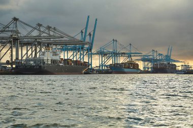 Cranes of a container shipping terminal in the port of Rotterdam, cargo ships loaded