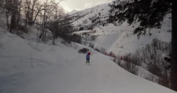 アルプスでのスキー ジンバルとフルフレームカメラで撮影した後 冬のスポーツ — ストック動画