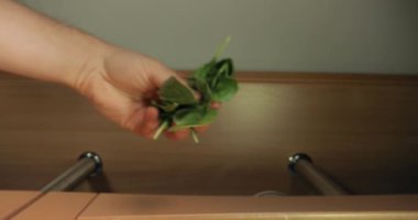 Taze ıspanak yaprakları yiyeceğe döküldü, aşağıdan izlendi, 60 fps 4k görüntüden yavaş çekim, yeşil salata