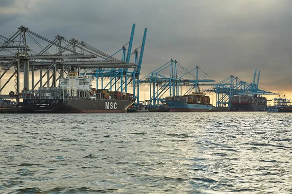 オランダ ロッテルダム Circa 2019 ロッテルダム港のコンテナターミナルにある巨大な貨物船から積み降ろしされたコンテナ — ストック写真