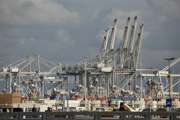 ロッテルダム港の貨物輸送ターミナル内のコンテナのための巨大なガントリークレーン — ストック写真