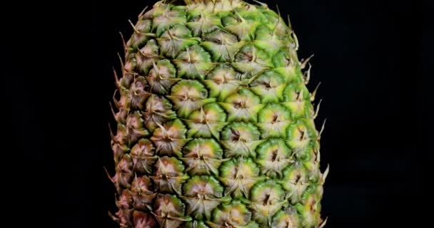 Ananas Spinning Isolerad Svart Bakgrund Rörlig Grafik Element — Stockvideo