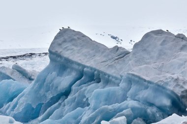 Jokulsarlon, İzlanda 'daki buzul gölü, donmuş arazideki buz dağları blokları