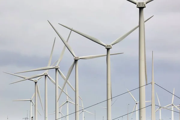 Wiele Turbin Wiatrowych Wirujących Pod Rząd Porcie Rotterdam — Zdjęcie stockowe