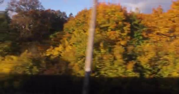 Поїзд Подорожі Повільному Русі Ліс Вид Збоку Осінніми Деревами Барвисті — стокове відео