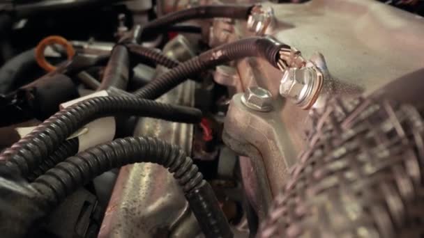 Детали Автомобильного Двигателя Зондом Макрообъектива Внутри Моторного Отсека — стоковое видео