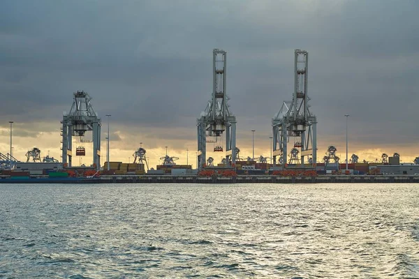 Kranen Van Een Containerterminal Rotterdam — Stockfoto
