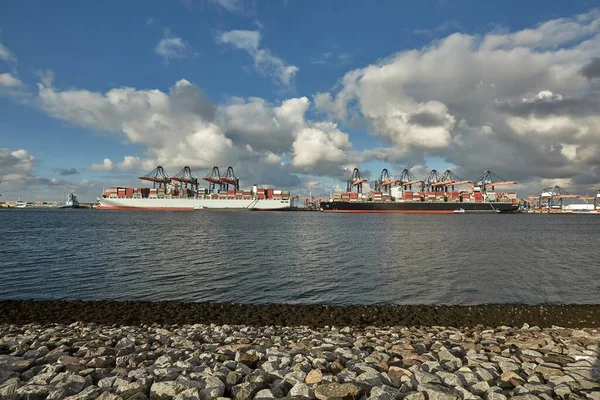 Cranes Container Shipping Terminal Port Rotterdam Huge Cargo Ship Loading — Stockfoto