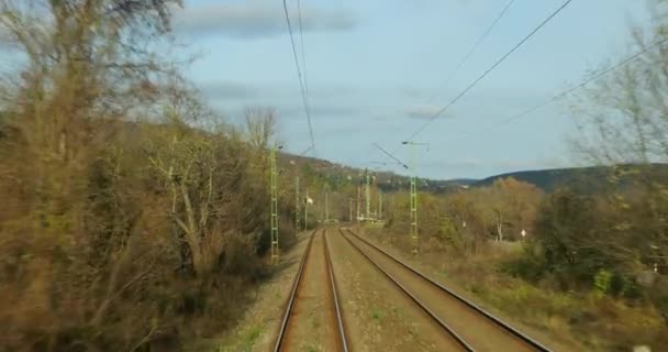 Tren Yolculuğu Bakış Açısı Son Vagonun Arkasından Demiryolu Seyahati Düz — Stok video