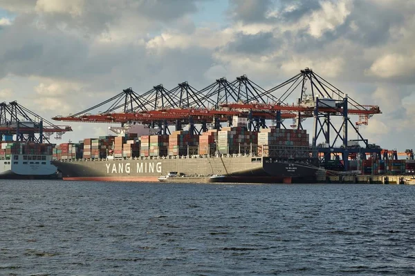 オランダのロッテルダム 2019年9月21日 ロッテルダム港のEuromaxコンテナターミナルで巨大な貨物船から荷降ろしされたコンテナ — ストック写真