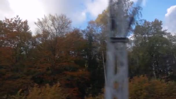 천천히 달리는 나무의 잎사귀들이 바라본다 — 비디오