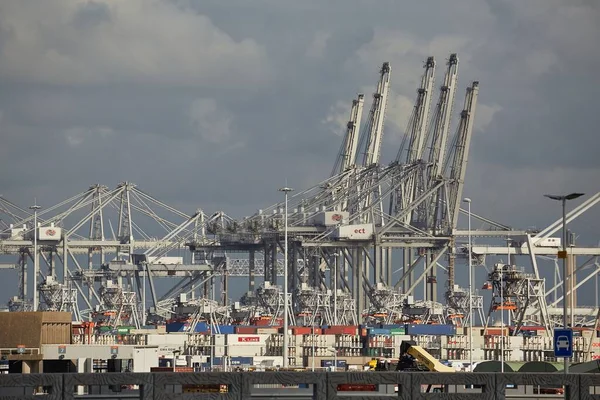 Rotterdam Nederländerna Circa 2019 Enormt System Kranar Som Hanterar Containerlast — Stockfoto