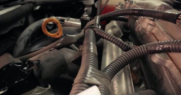 プローブマクロレンズ 内部部品と車のエンジン技術ビュー — ストック動画