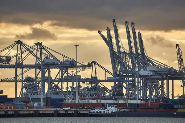 Cranes Container Shipping Terminal Port Rotterdam — Stock fotografie