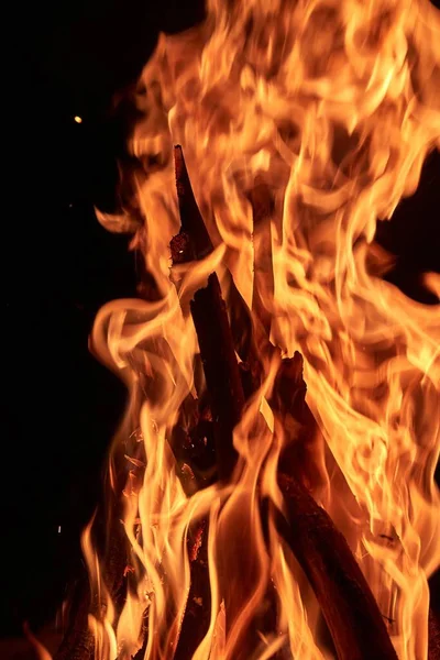 Camp Fire Burning Night — Stock Photo, Image