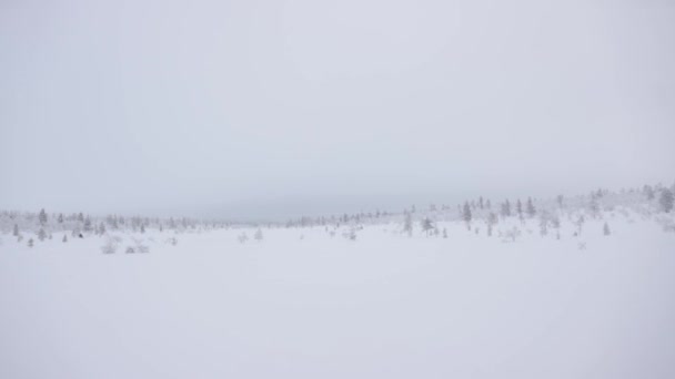 Snowy Winter Landscape Passing Trip Arctic Circle — Stock Video