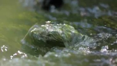 Küçük bir dağ deresi, hoş bir yaz günü güneşli bir gün. Yakın çekim, 120fps çekiminden yavaş çekim.