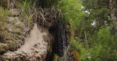 Ormanda damlayan küçük şelale, yaz dağı manzarası