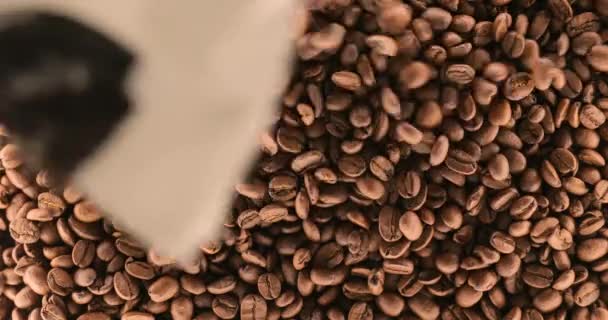 Pouring Coffee Beans Pile Roasted — Stock Video