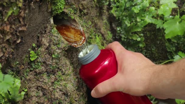 Recarga Garrafa Água Uma Caminhada Primavera Floresta Água Limpa Fluindo — Vídeo de Stock