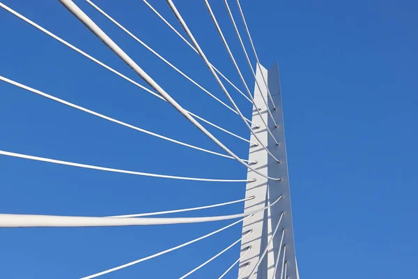ケーブルの建築ディテールとどまったロッテルダムのエラスムス橋 — ストック写真