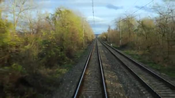 Pohled Cestu Vlaku Zadní Strany Posledního Vozu Železniční Tratě Fps — Stock video
